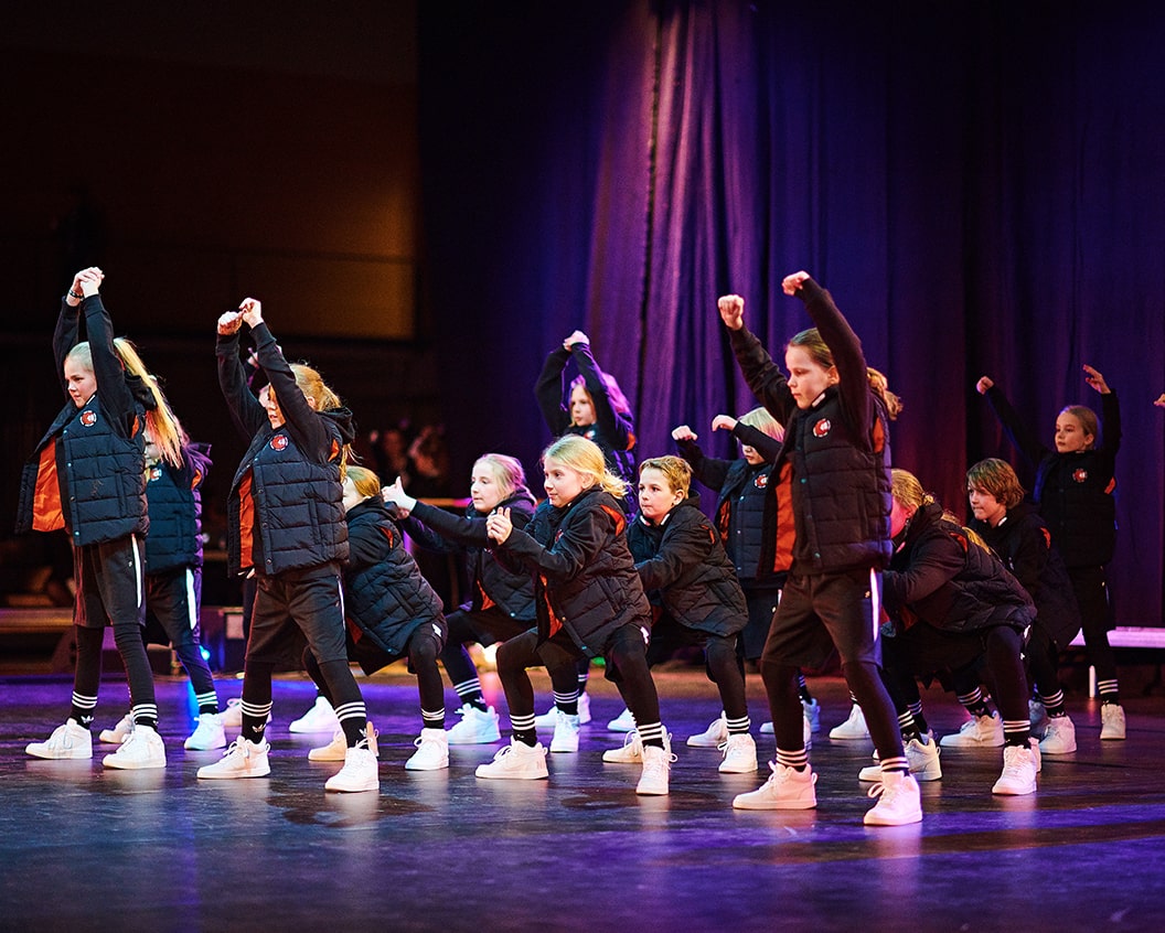 Aldans Laer At Danse Hiphop Disco Bornedans Pa Alle Niveauer
